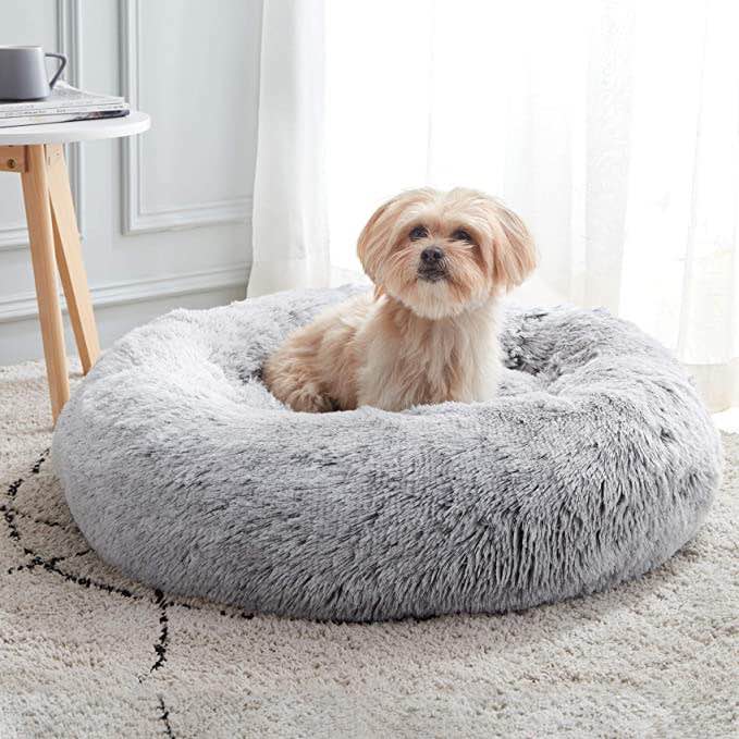 pet bed
