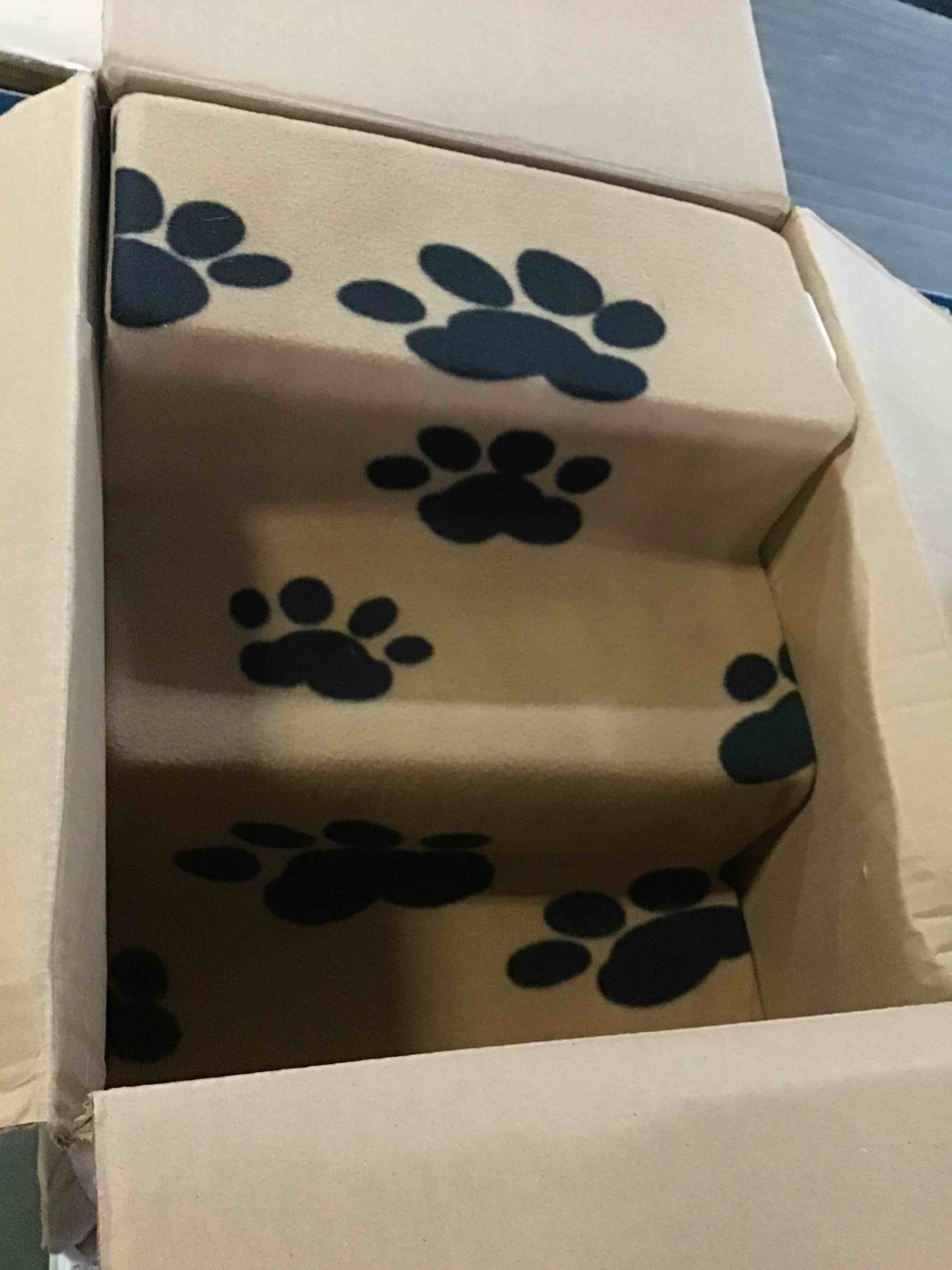 https://s3.amazonaws.com/lotting-images-prod/bidfta/ORG4905688_1694265845080.jpeg