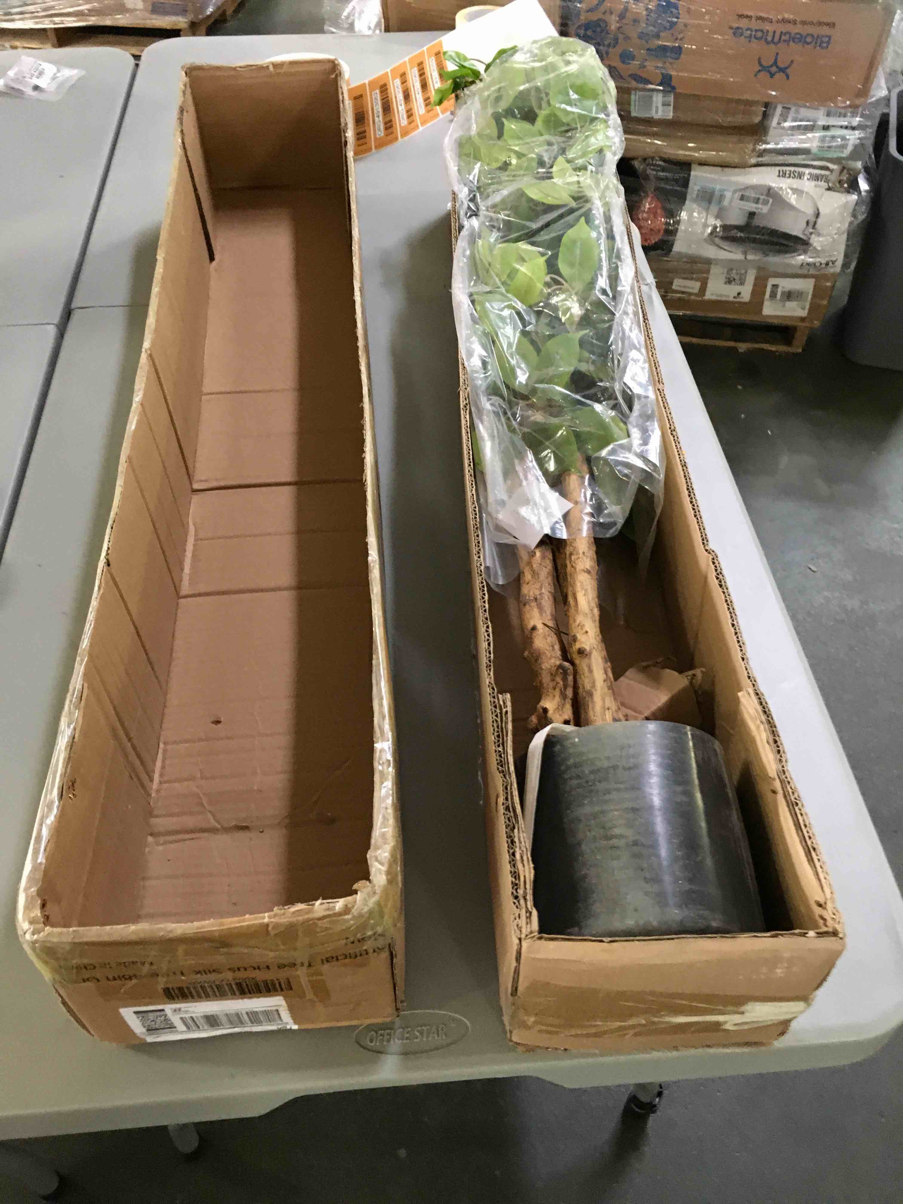 https://s3.amazonaws.com/lotting-images-prod/bidfta/ORG4913058_1694436443563.jpeg