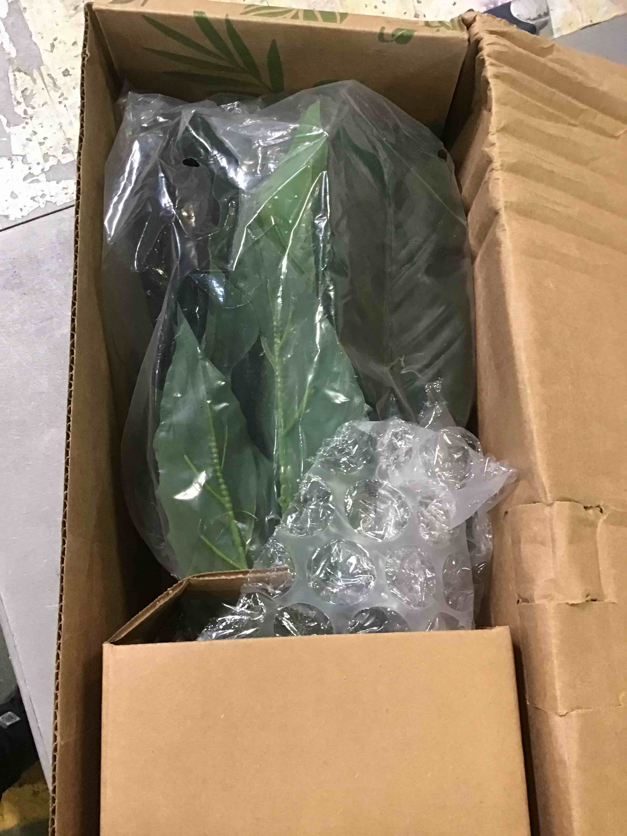 https://s3.amazonaws.com/lotting-images-prod/bidfta/ORG4915003_1694620803572.jpeg