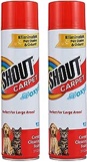 Shout Carpet Aerosol Stain and Odor Foaming Spray with OXY Power 22 oz - 2 Pack