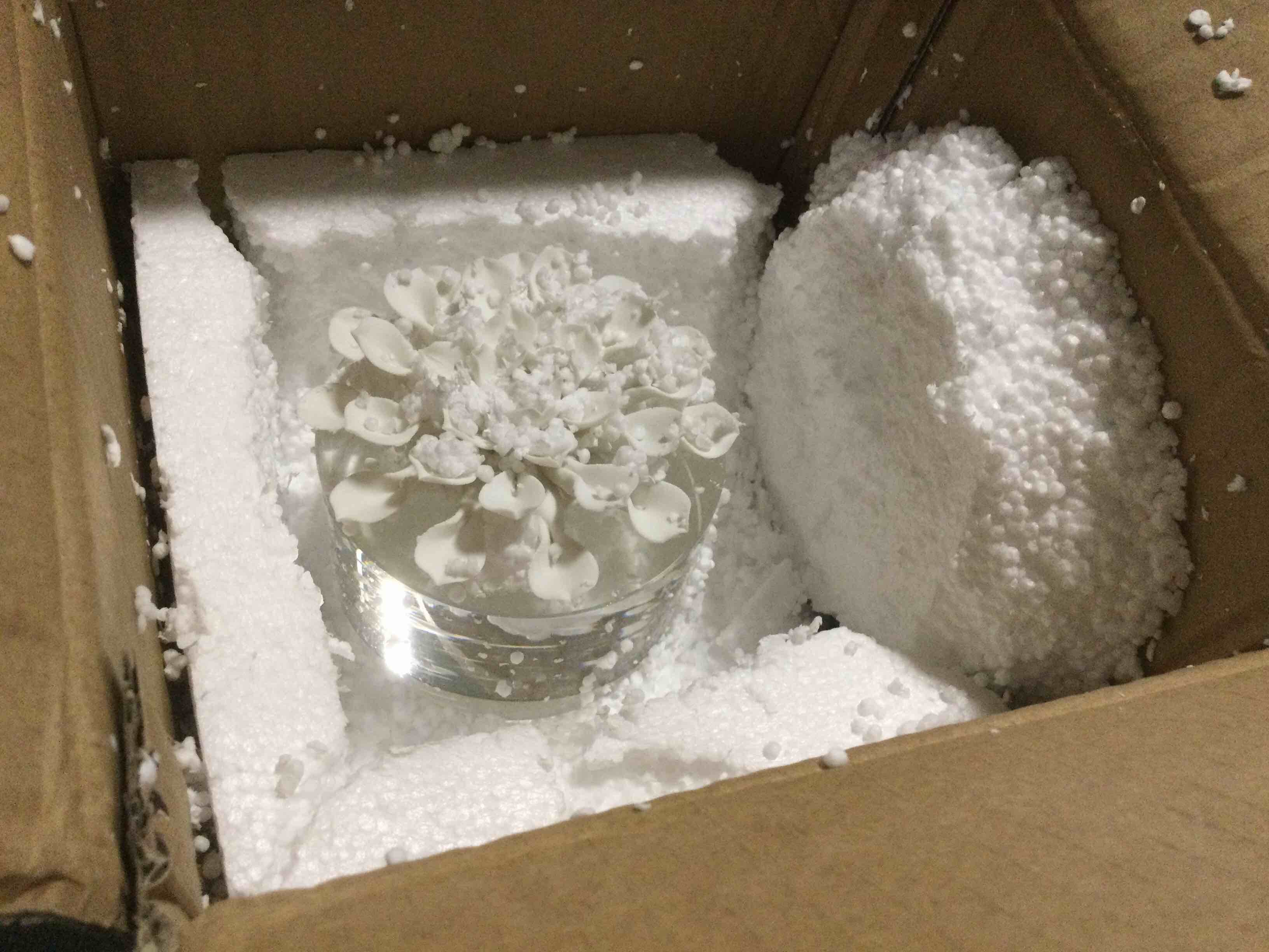 https://s3.amazonaws.com/lotting-images-prod/bidfta/ORG4938718_1703183953338.jpeg