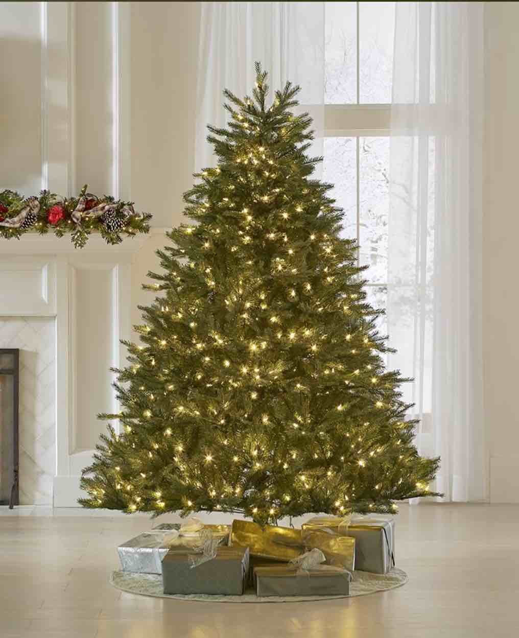 The World's Best Prelit Concolor Fir