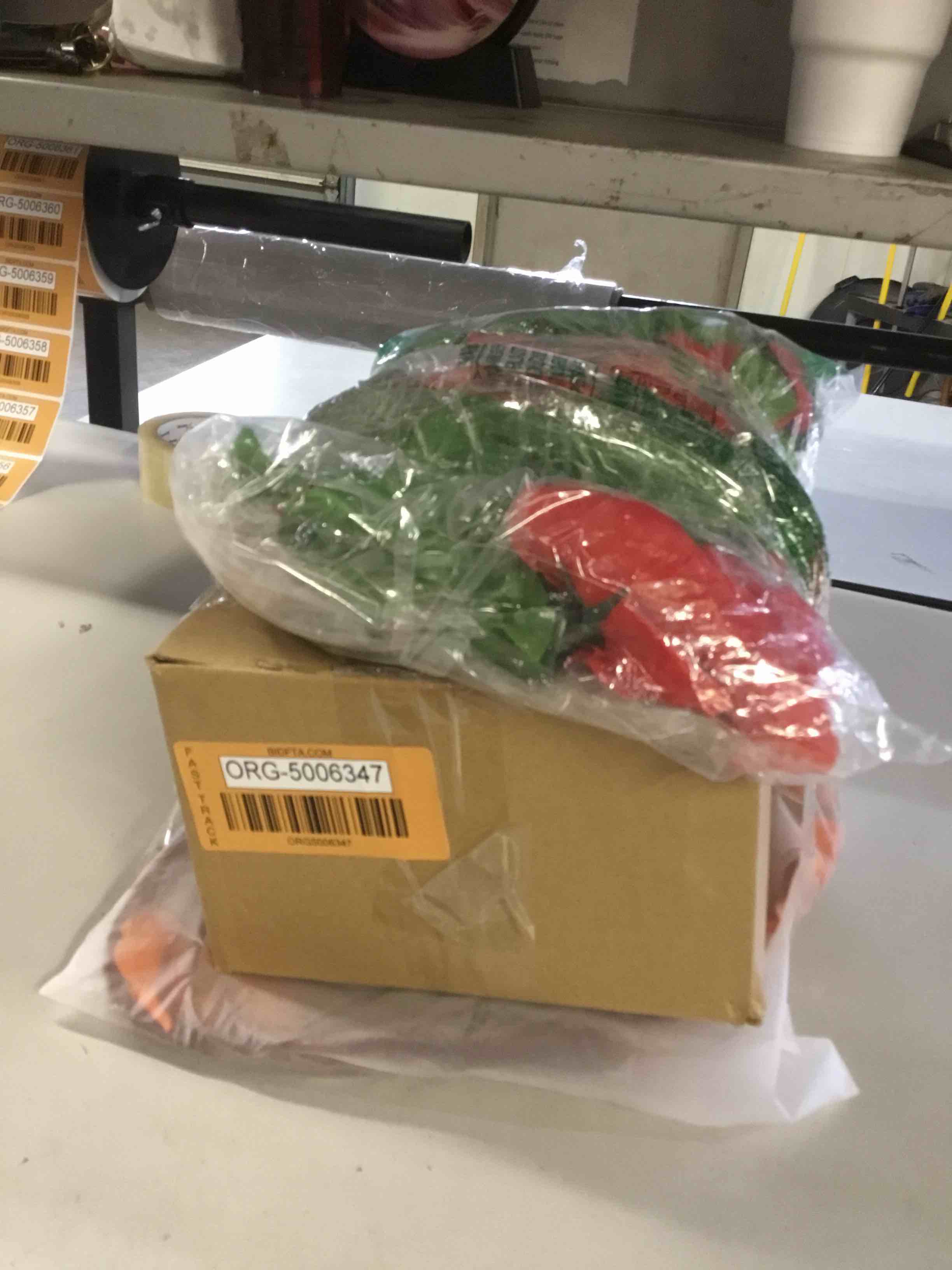 https://s3.amazonaws.com/lotting-images-prod/bidfta/ORG5006347_1712070235393.jpeg