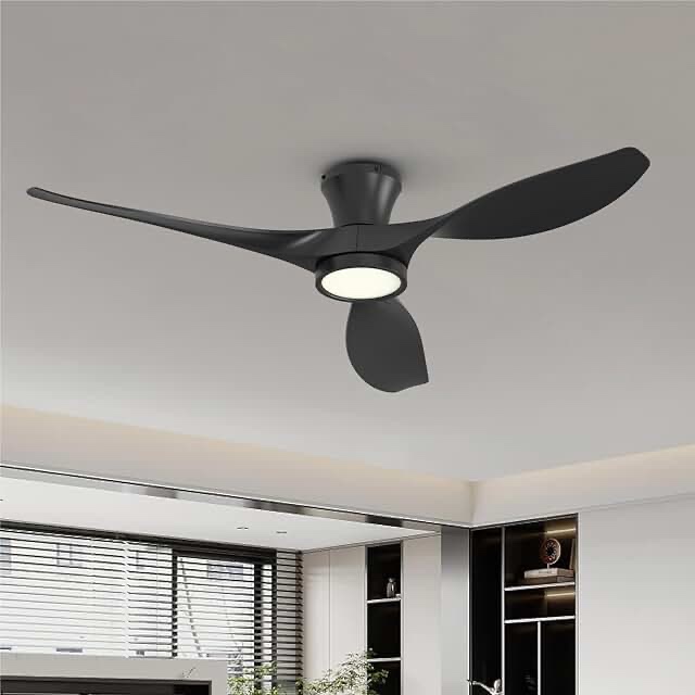 Ceiling Fan