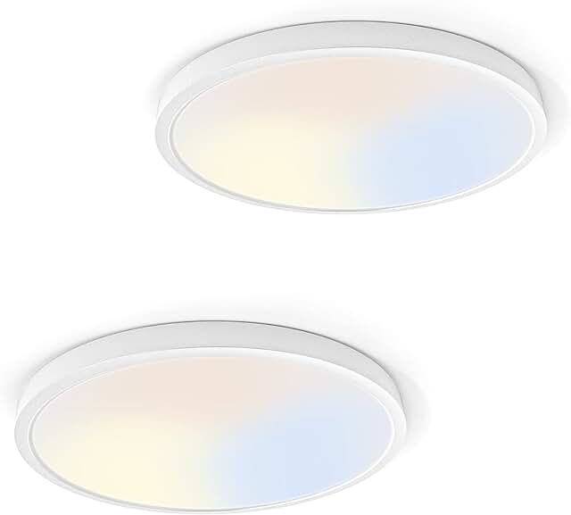 Taloya Flush Mount LED Ceiling Light (Milk White Shell), 12 Inch-2 Pack , Equivalent to Traditional 200W Bulb Light for Kitchen Bedroom Utility Closet Room,3 in 1(3000k/4000k/6500k)