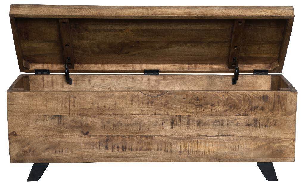 Axis 46" Storage Trunk - Kosas Home PL10216