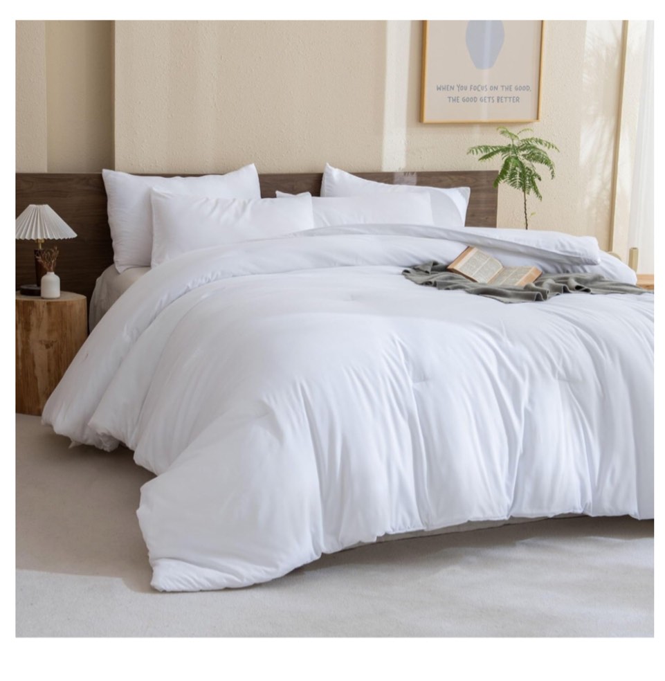 White Comforter with Small Pillow