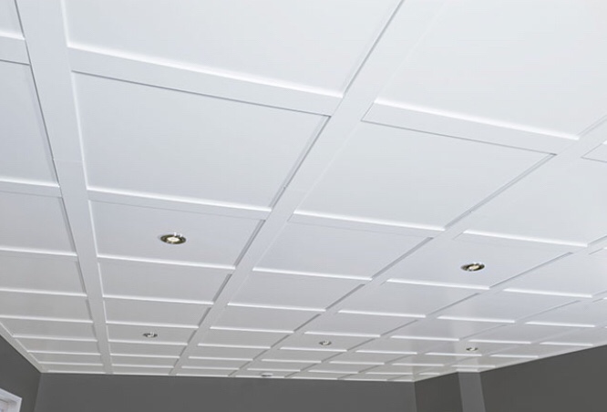 Embassy 8-Pack 1/4-in T x 24-in L x 24-in W White Ceiling Tiles ( 2 boxes ) 16 piece 