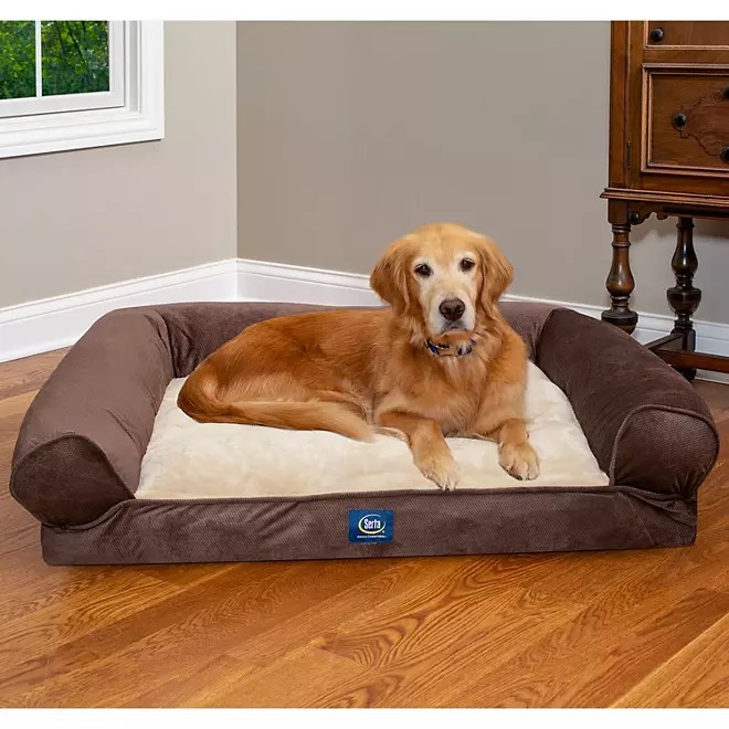 Serta XL Round Bolster Couch Pet Bed, 40" x 30", Brown