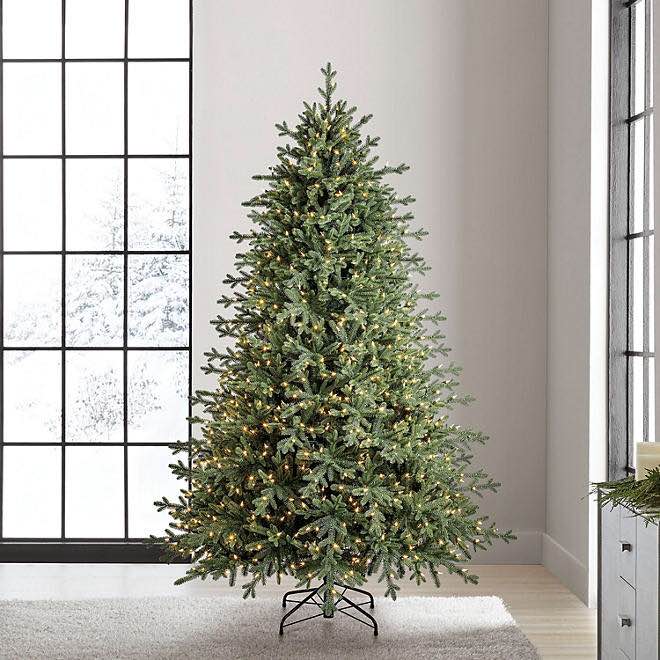 Members Mark 7.5ft Pre-lit Linden Spruce Tree (warm white)