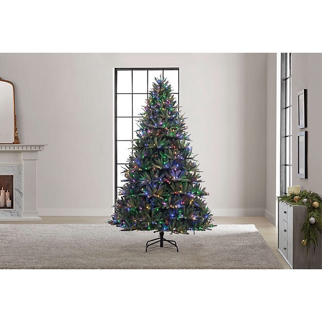 7.5ft Pre-lit Bristle Fir Tree (color changing lights, warm white or multicolored)