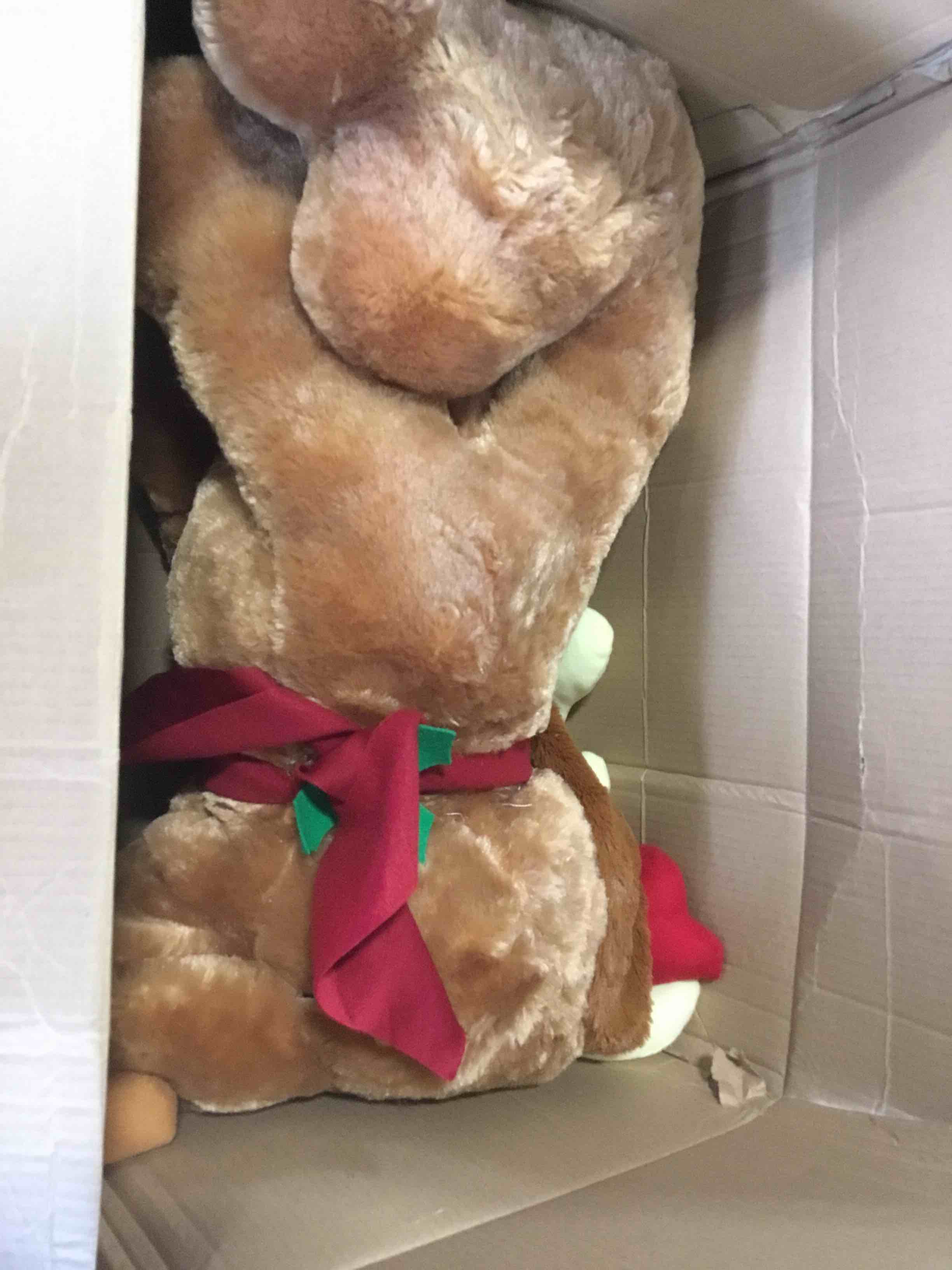 The How The Grinch Stole Christmas Animated Max The Dog