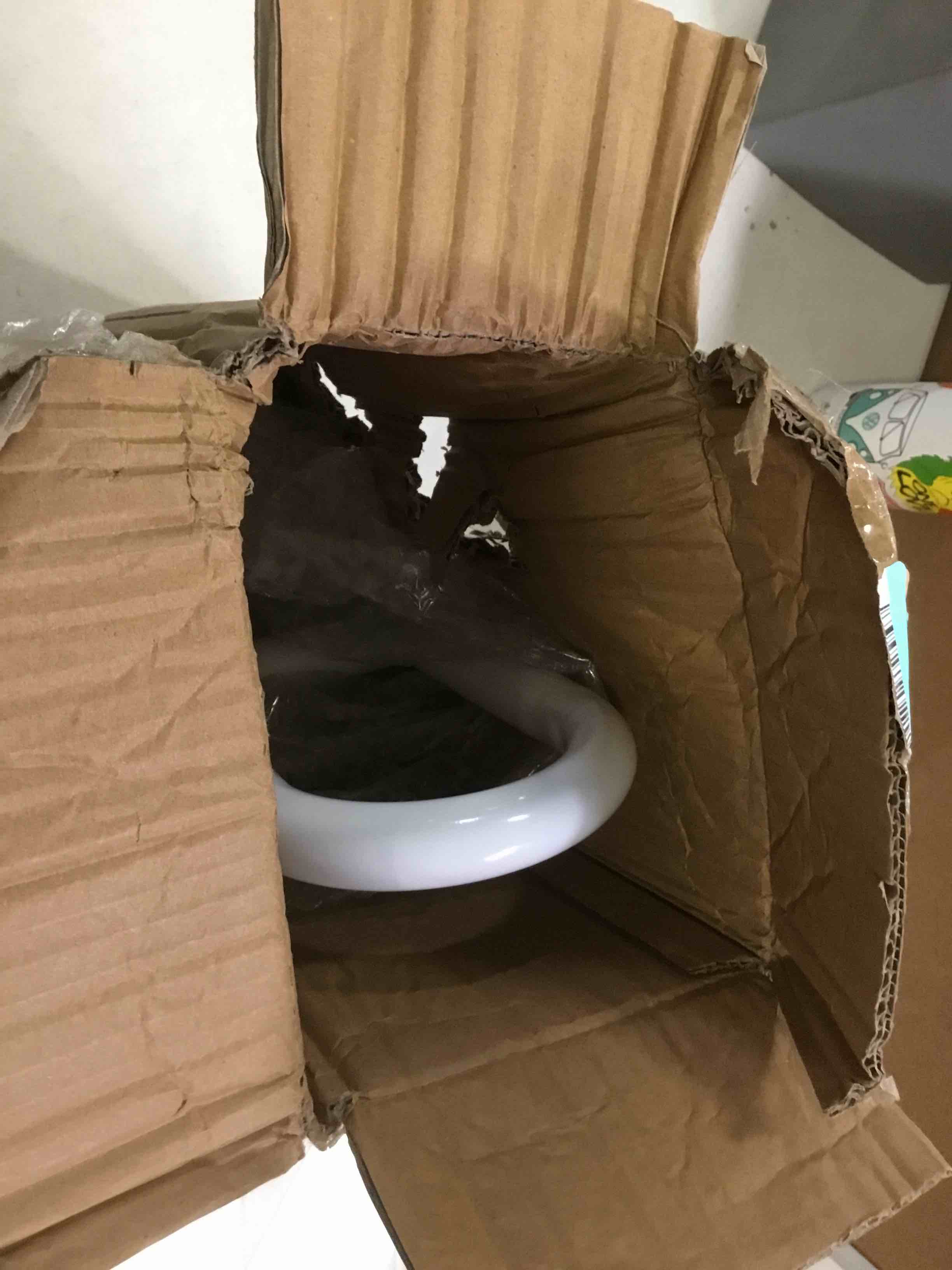 https://s3.amazonaws.com/lotting-images-prod/bidfta/ORG5140908_1702056905521.jpeg