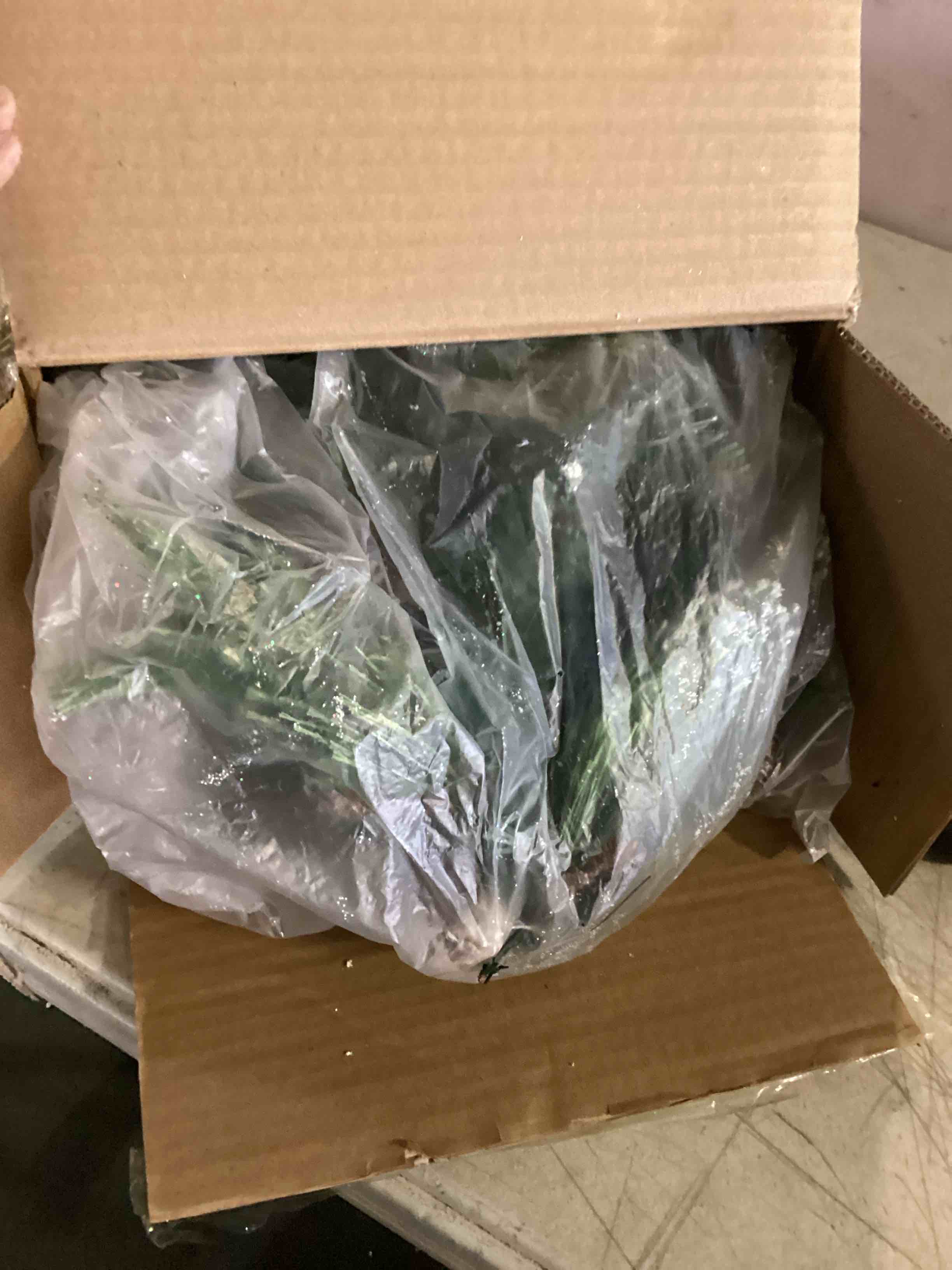 https://s3.amazonaws.com/lotting-images-prod/bidfta/ORG5190367_1702918596560.jpeg