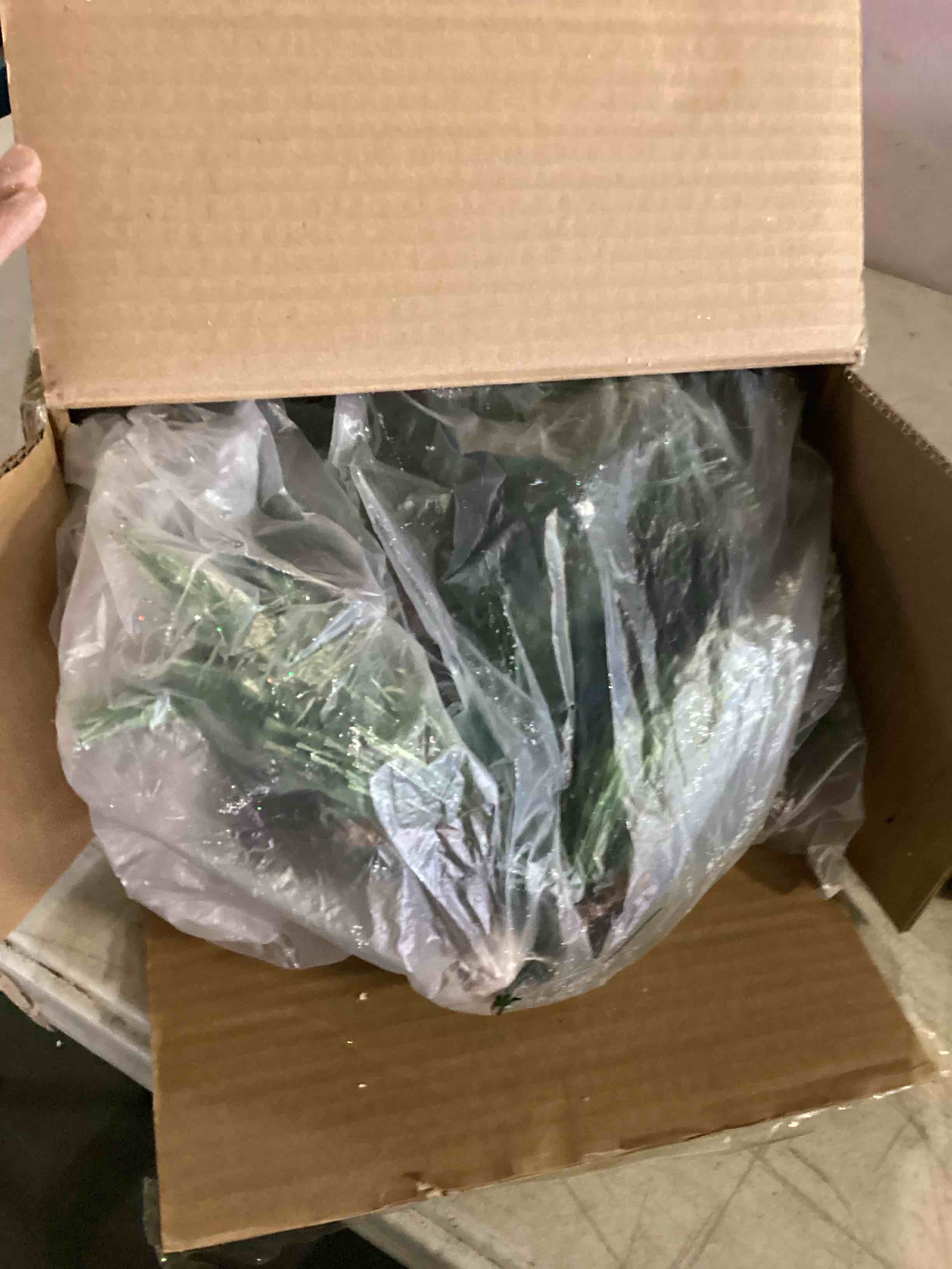https://s3.amazonaws.com/lotting-images-prod/bidfta/ORG5190367_1702918597521.jpeg