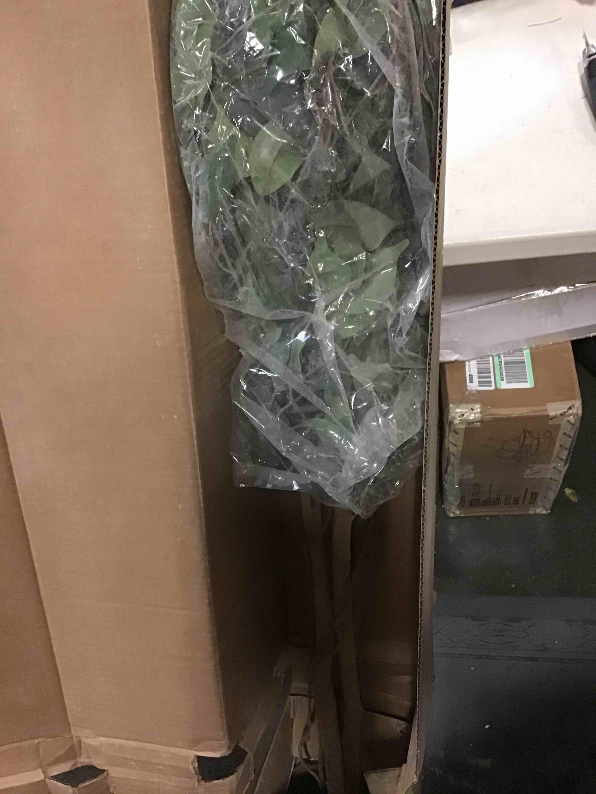 https://s3.amazonaws.com/lotting-images-prod/bidfta/ORG5190628_1702474093356.jpeg