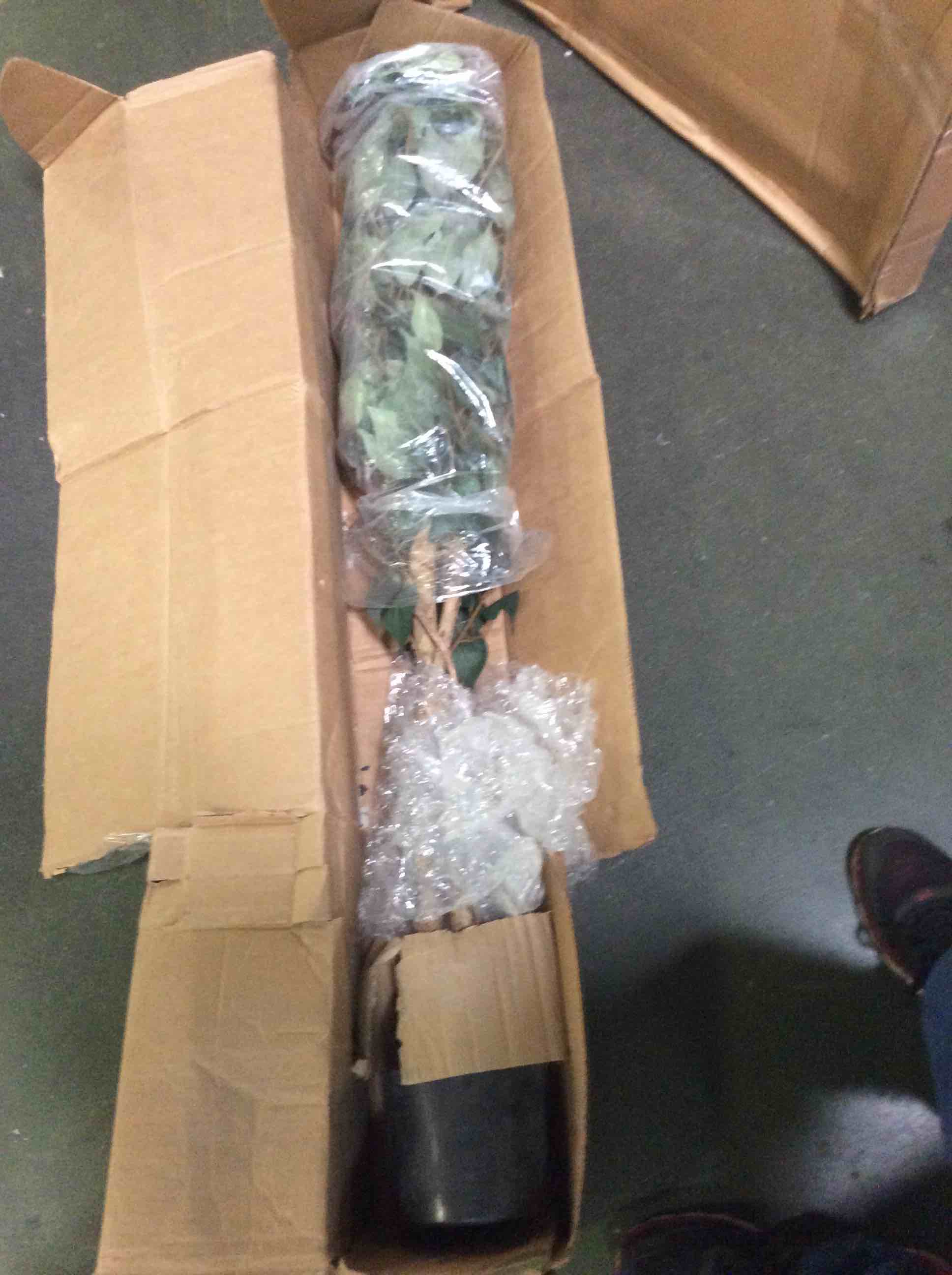 https://s3.amazonaws.com/lotting-images-prod/bidfta/ORG5229786_1692974801041.jpeg