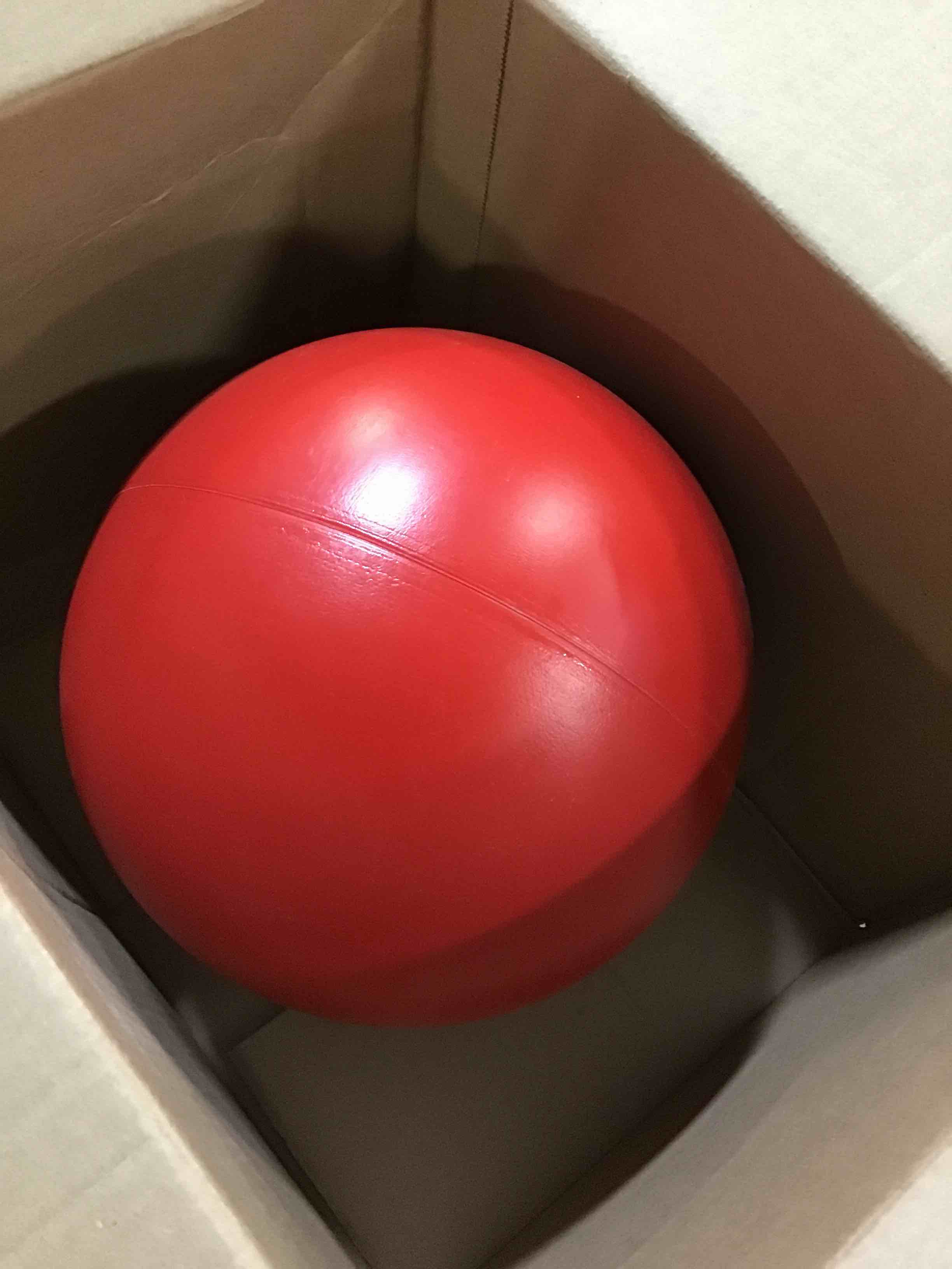 https://s3.amazonaws.com/lotting-images-prod/bidfta/ORG5260031_1699644820280.jpeg
