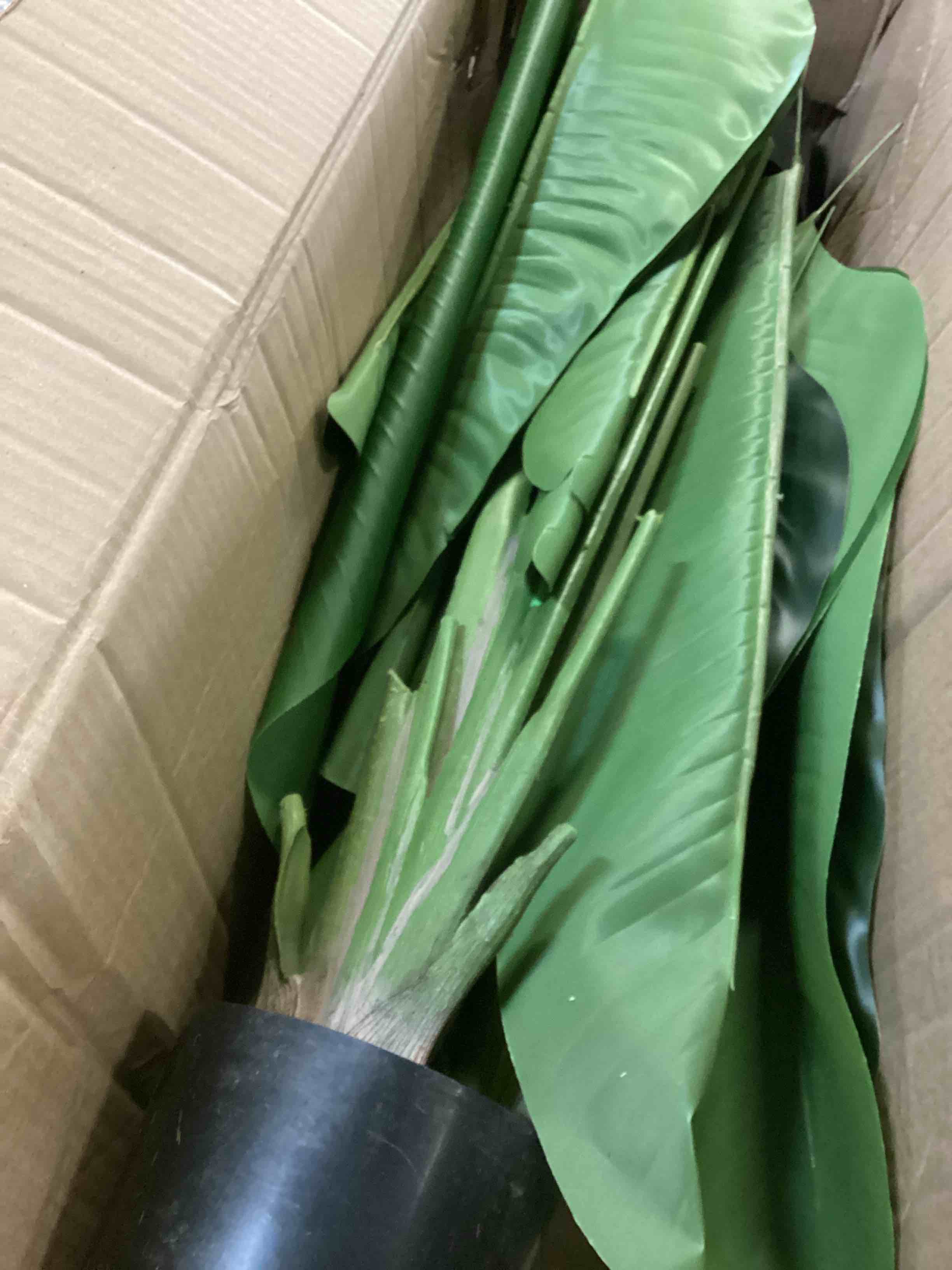 https://s3.amazonaws.com/lotting-images-prod/bidfta/ORG5262253_1700854751537.jpeg