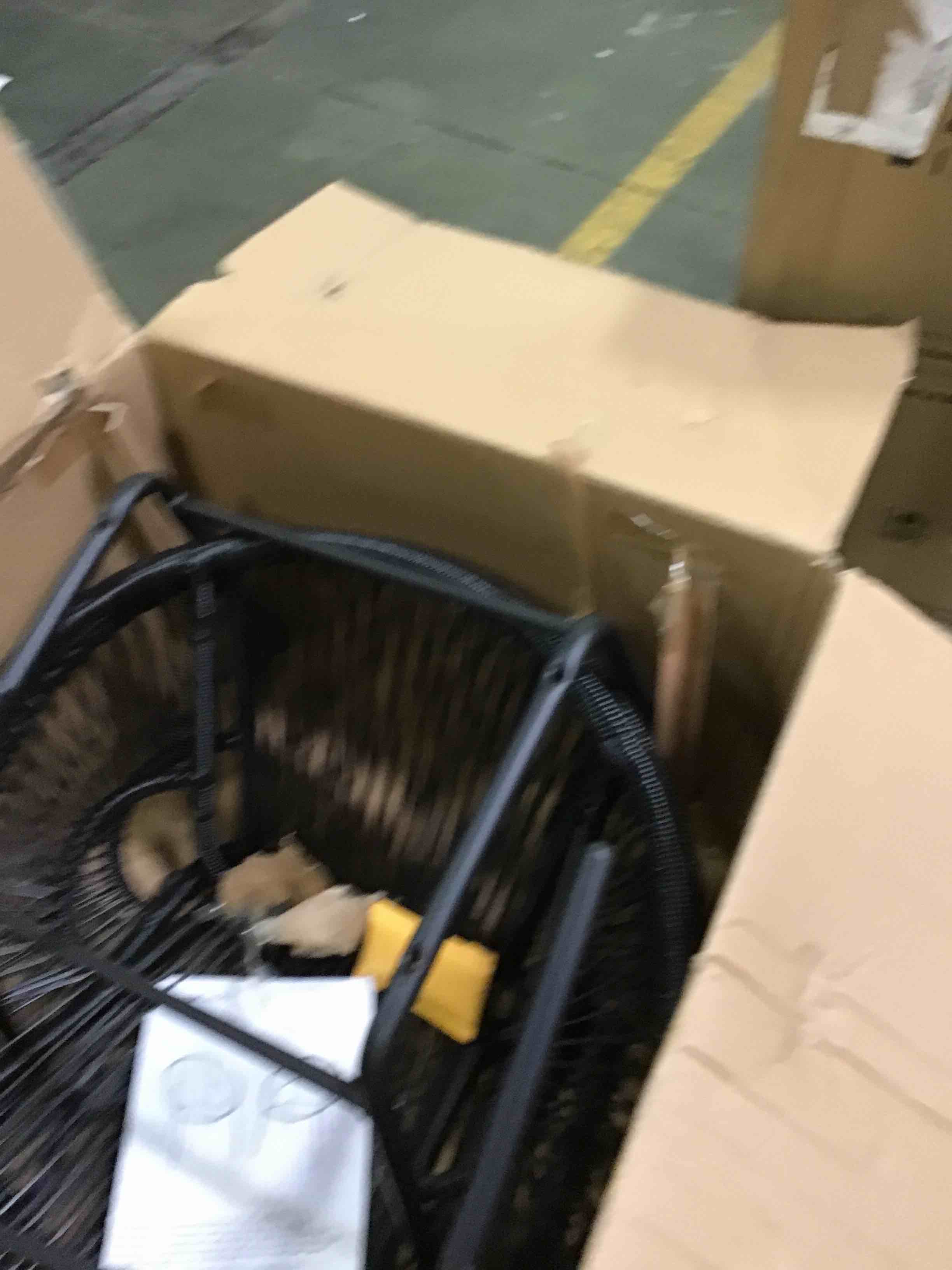 https://s3.amazonaws.com/lotting-images-prod/bidfta/ORG5293564_1689946690024.jpeg