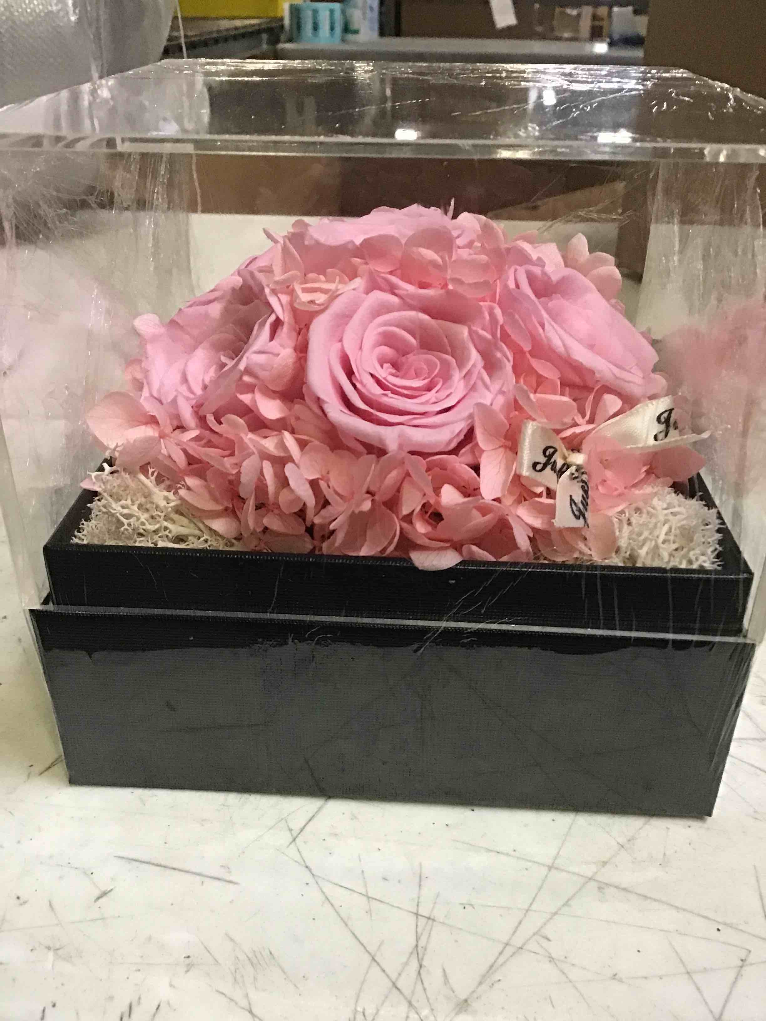 Agrul Preserved Real Roses Gifts for Her Women Purple Eternal Rose Birthday Gifts for Mom Girlfriend Best Friend color pink