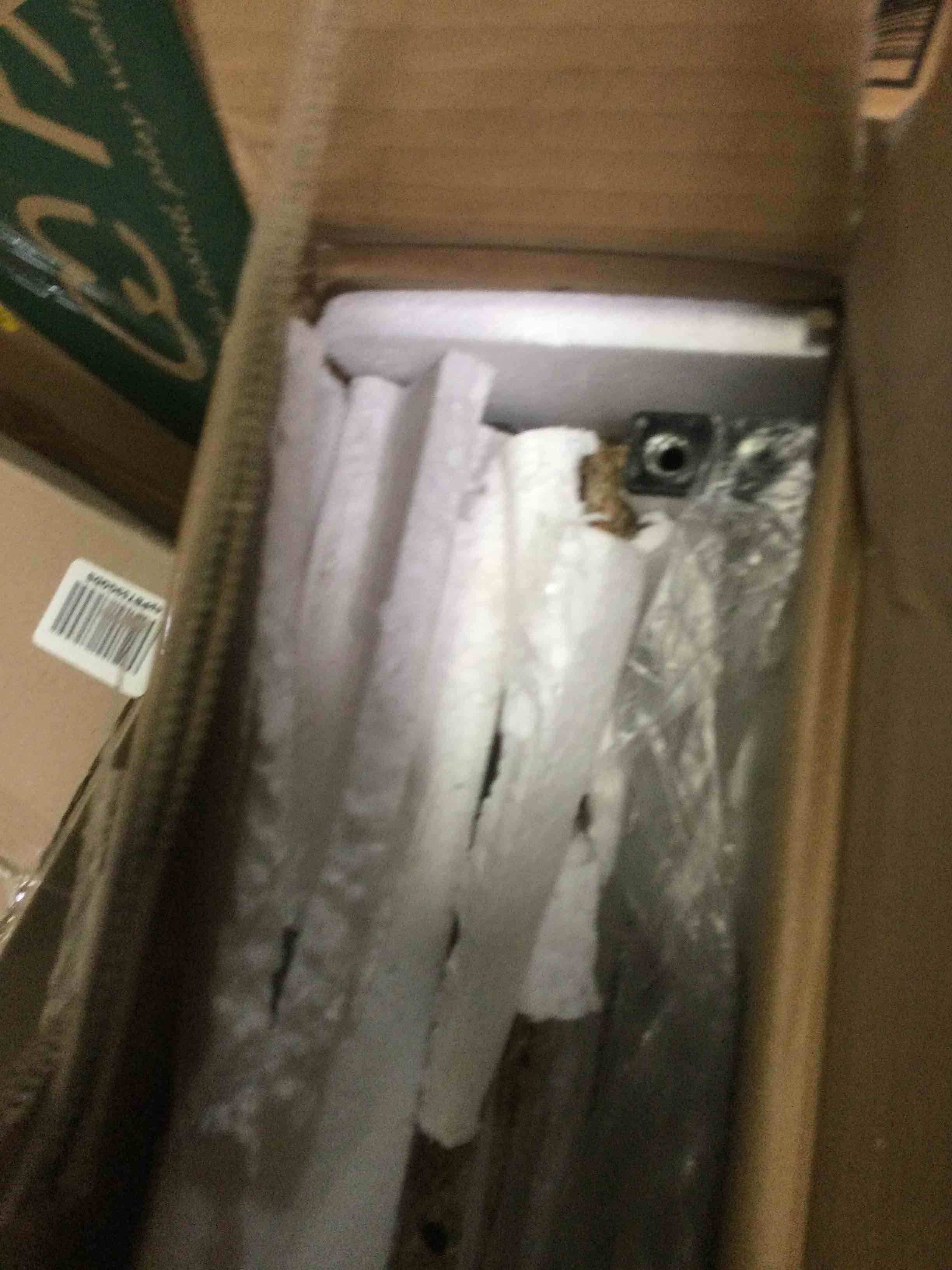 https://s3.amazonaws.com/lotting-images-prod/bidfta/ORG5304452_1690296201321.jpeg