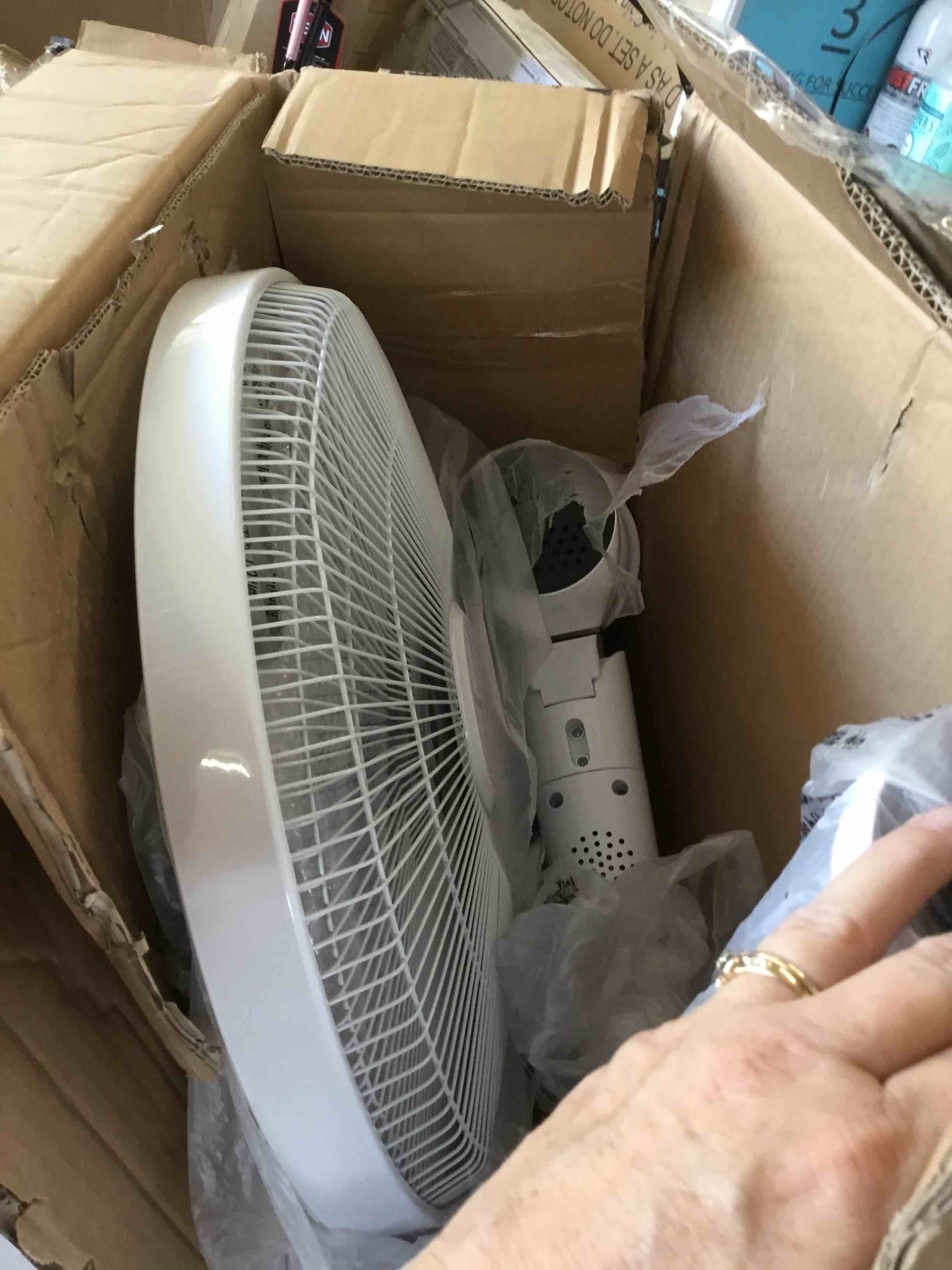 https://s3.amazonaws.com/lotting-images-prod/bidfta/ORG5330224_1691762955587.jpeg
