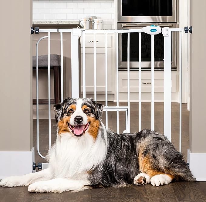 Carlson Extra Wide Walk-Through Gate with Small Pet Door