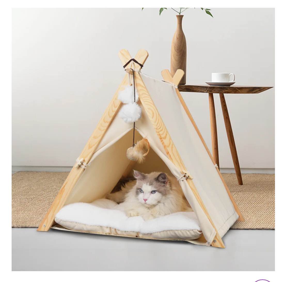 Eliza Specialty Cat Bed