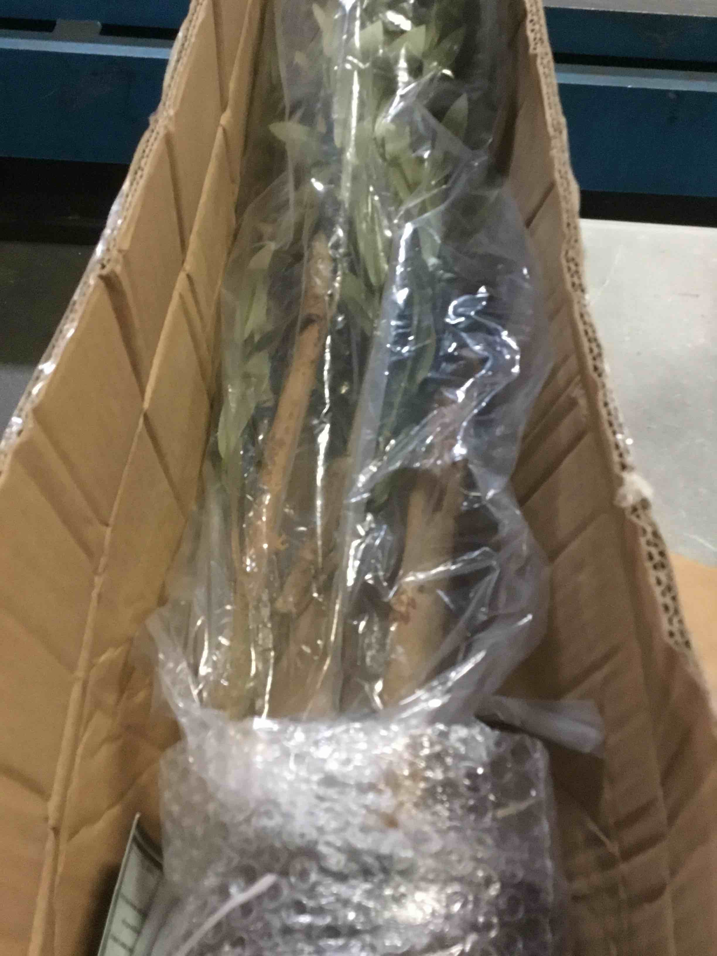 https://s3.amazonaws.com/lotting-images-prod/bidfta/ORG5349222_1695212310785.jpeg