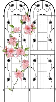 LZRS 2 Pack Rustic Garden Trellis with Black Coating Decorative Potted for Climbing Outdoor Roses Vines Flower Vegetable Supports