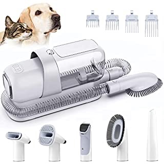 Meow 300W Pet Grooming Kit