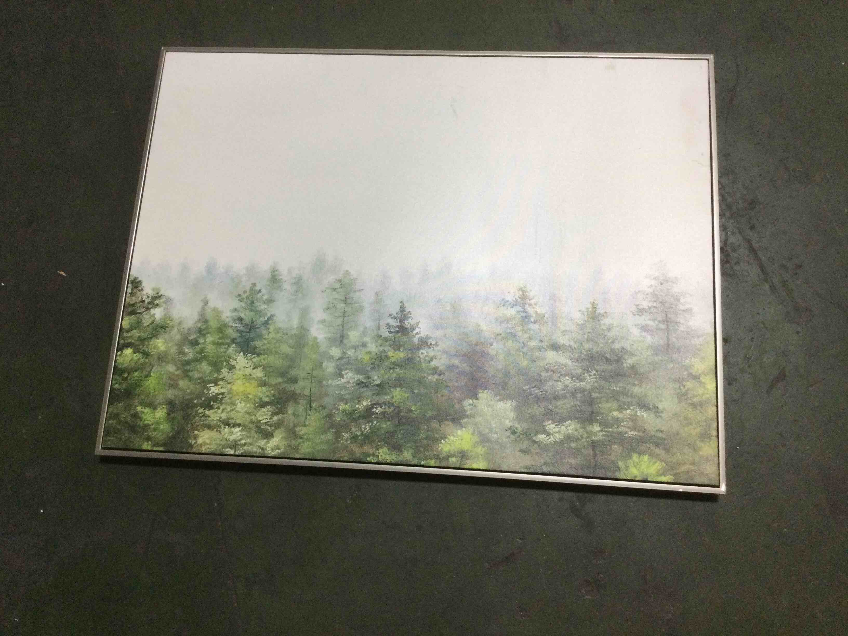 Silver Framed Canvas Art, 40x30