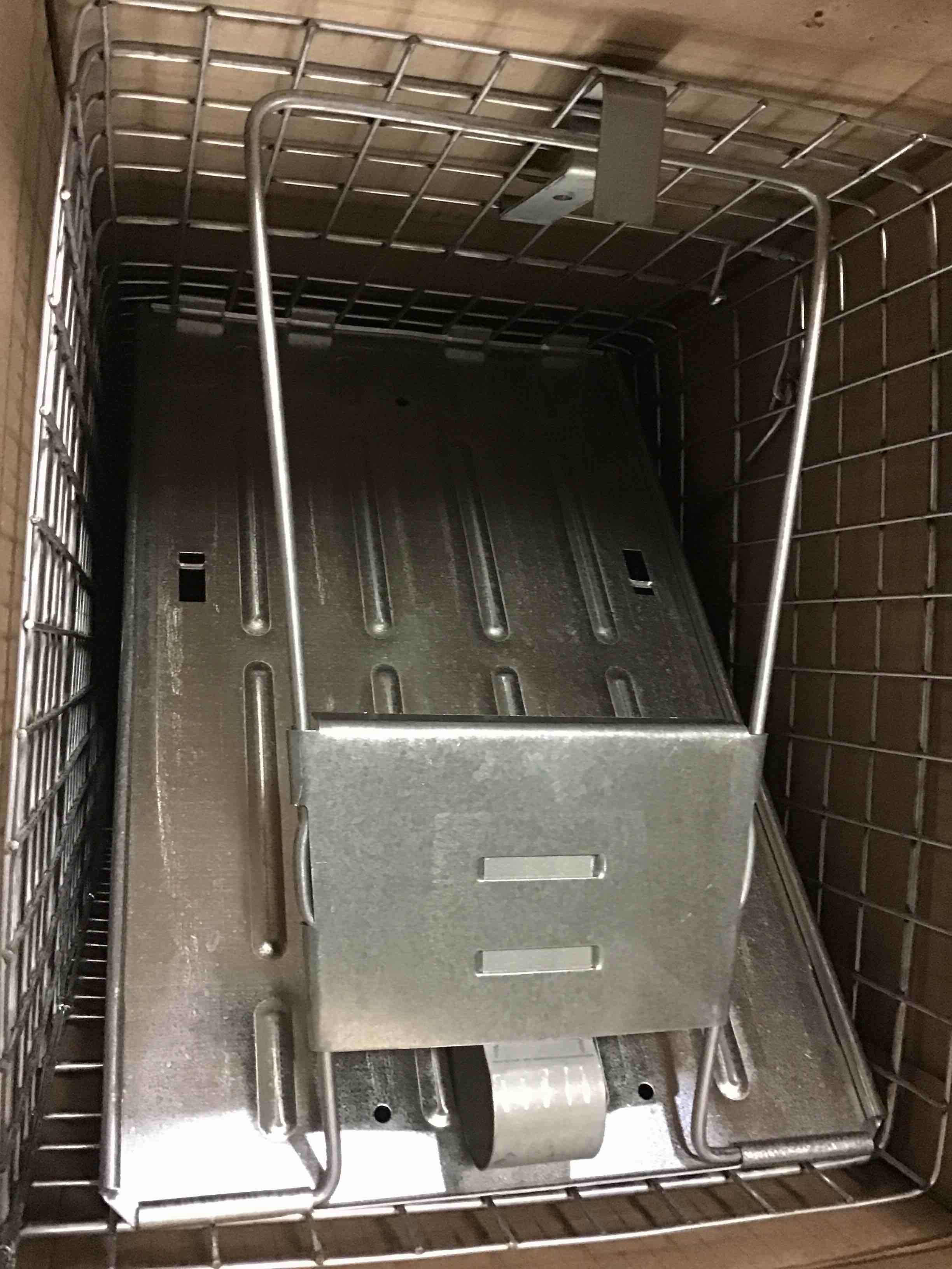 https://s3.amazonaws.com/lotting-images-prod/bidfta/ORG5420822_1691599093286.jpeg