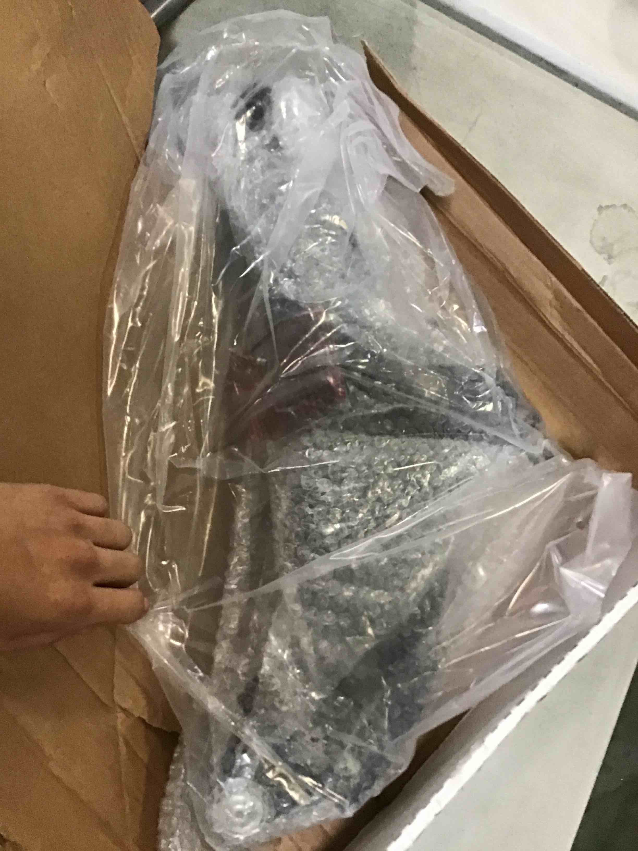 https://s3.amazonaws.com/lotting-images-prod/bidfta/ORG5421695_1691500932555.jpeg