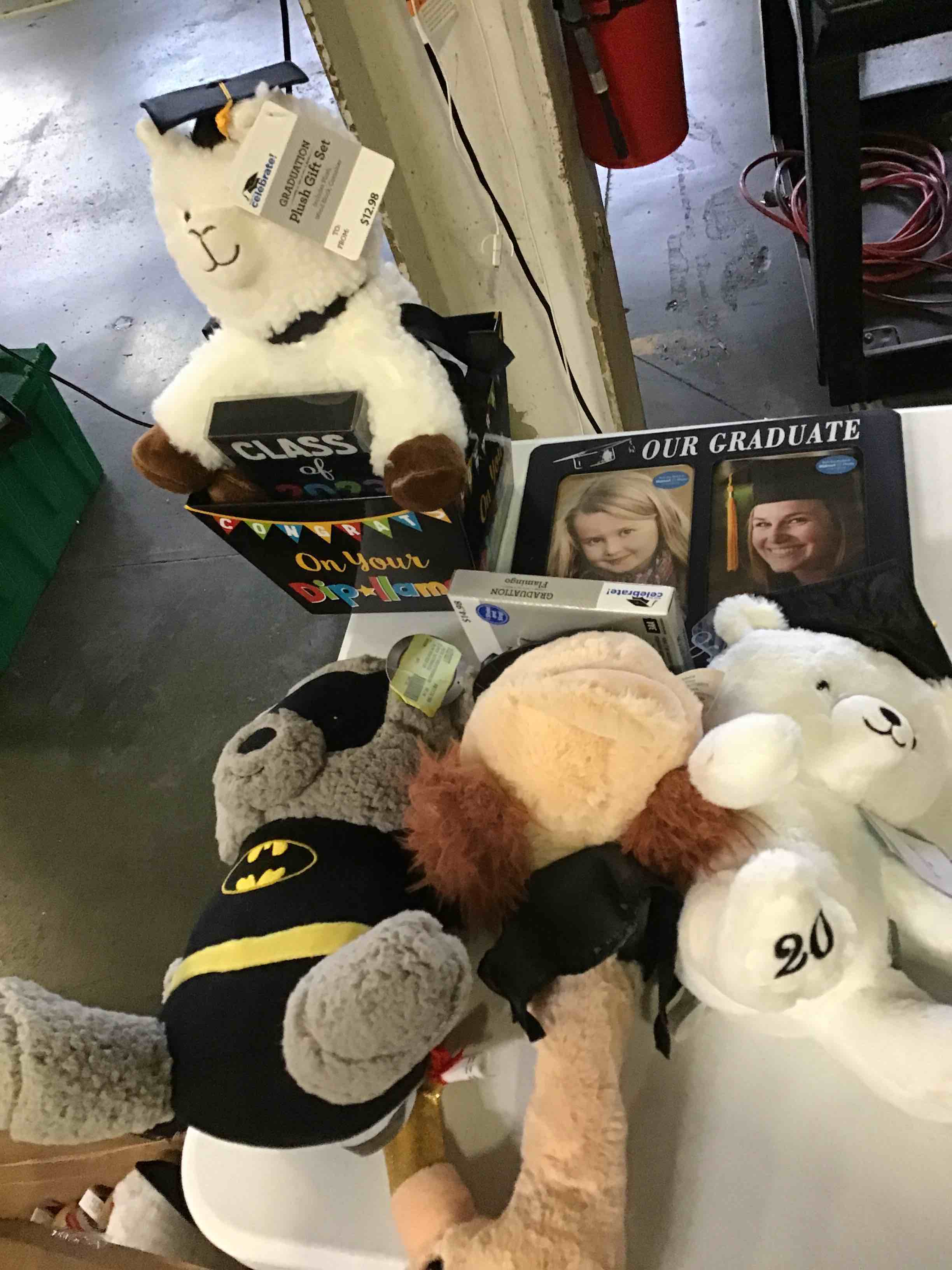 Miscellaneous Graduation Grab Bags, Items May Include Packages , , Picture Frames, plush animalI s,
