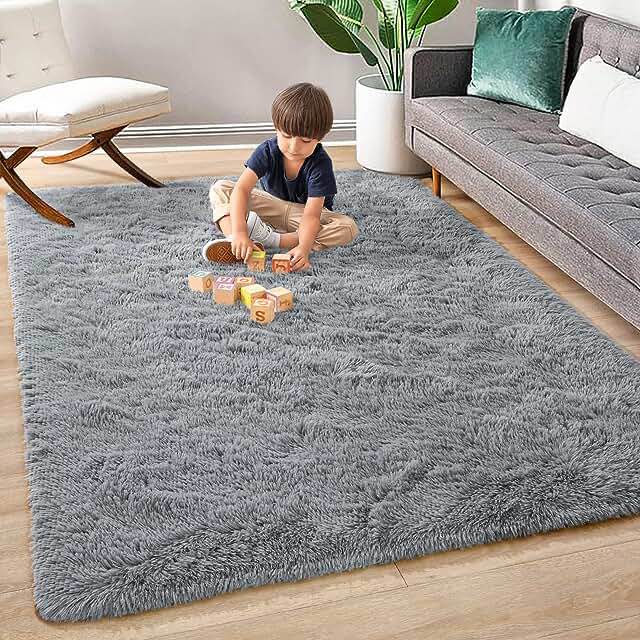 PAGISOFE 4x6 Grey Fluffy Soft Plush Area Rugs for Girls Bedroom