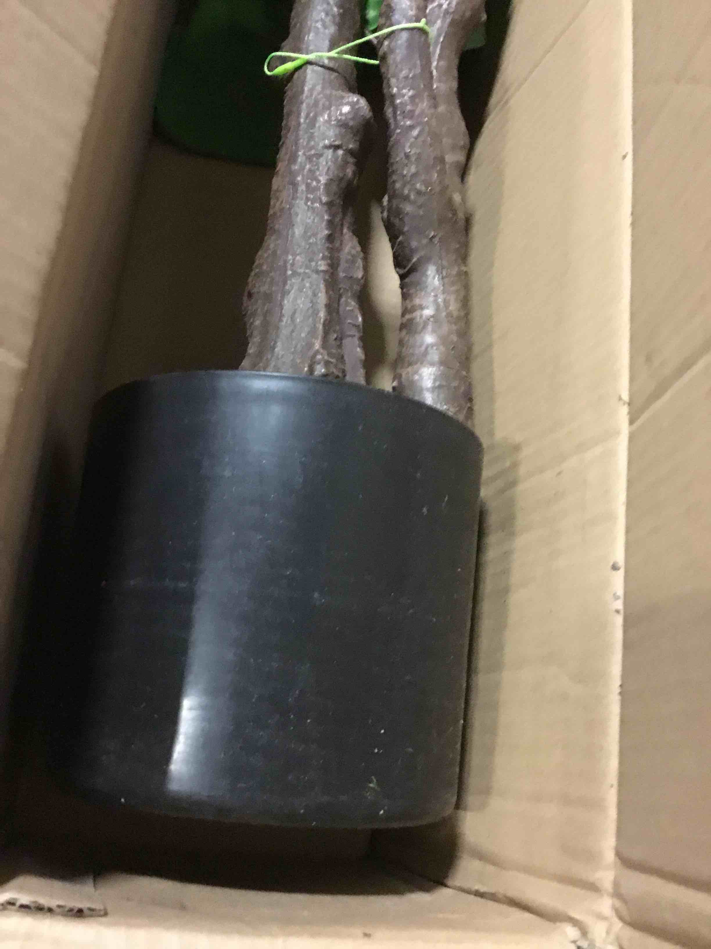 https://s3.amazonaws.com/lotting-images-prod/bidfta/ORG5493979_1701262105388.jpeg