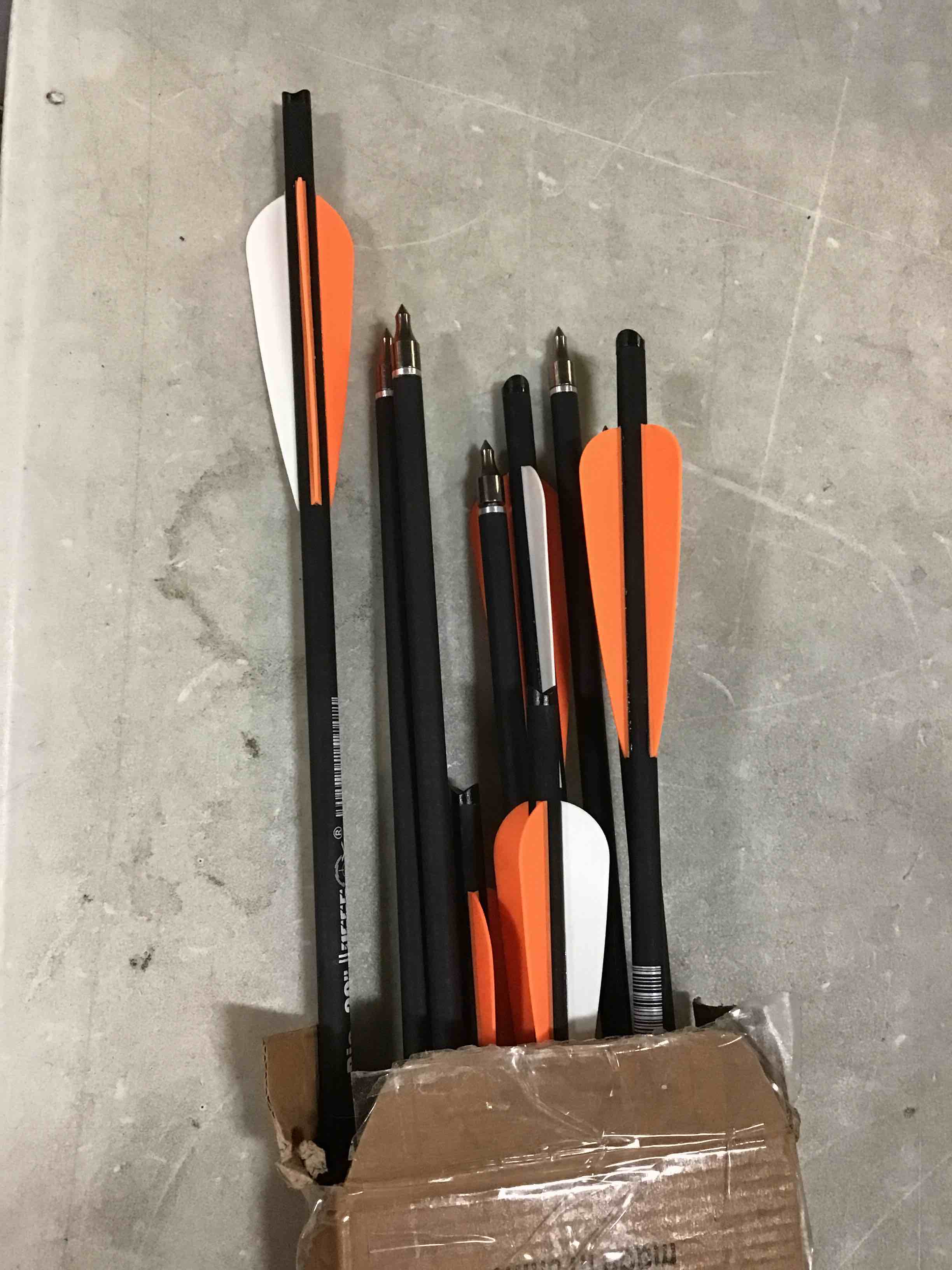 https://s3.amazonaws.com/lotting-images-prod/bidfta/ORG5519872_1698341948008.jpeg