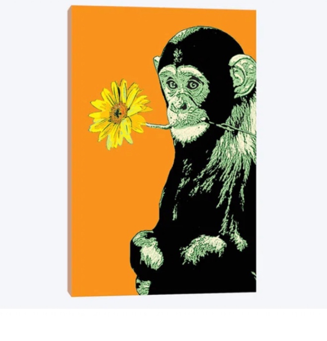 'Flower Monkey' Graphic Art Print on Canvas