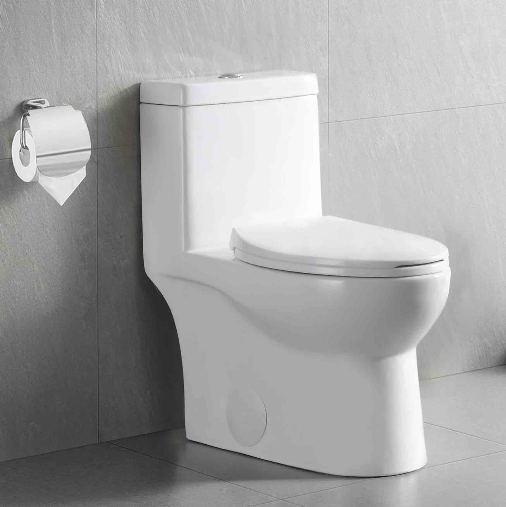 DeerValley DV-1F52816 Ally Dual-Flush Elongated One-Piece Toilet with Glazed Surface (Seat Included)