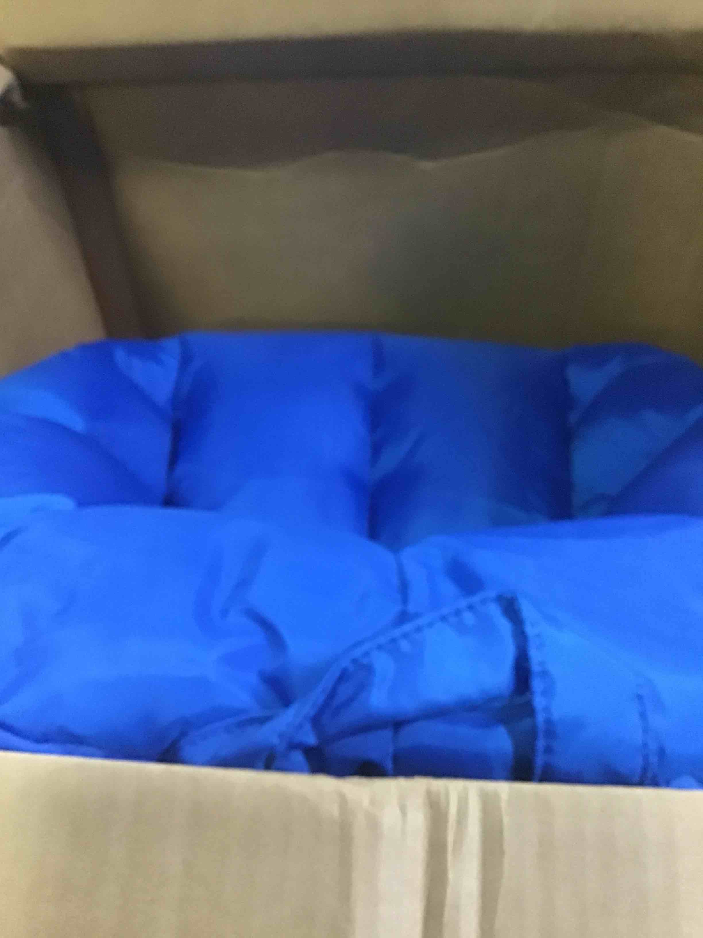 https://s3.amazonaws.com/lotting-images-prod/bidfta/ORG5636421_1696272556775.jpeg