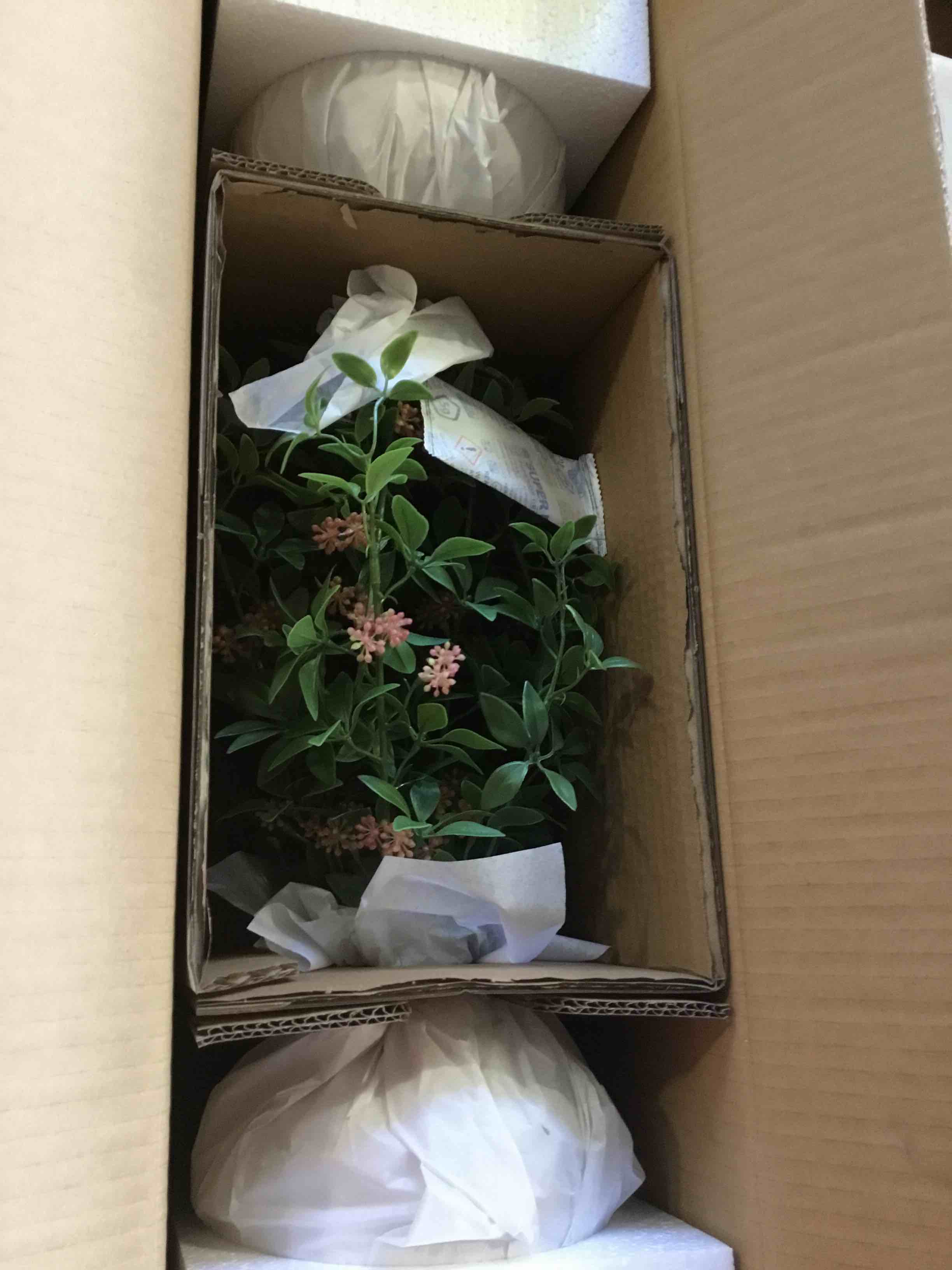 https://s3.amazonaws.com/lotting-images-prod/bidfta/ORG5649391_1697207177392.jpeg