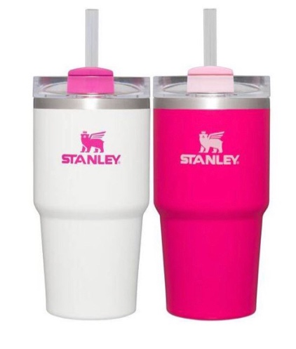 Stanley 2pk 20oz Stainless Steel H2.0 Flowstate Quencher Tumblers