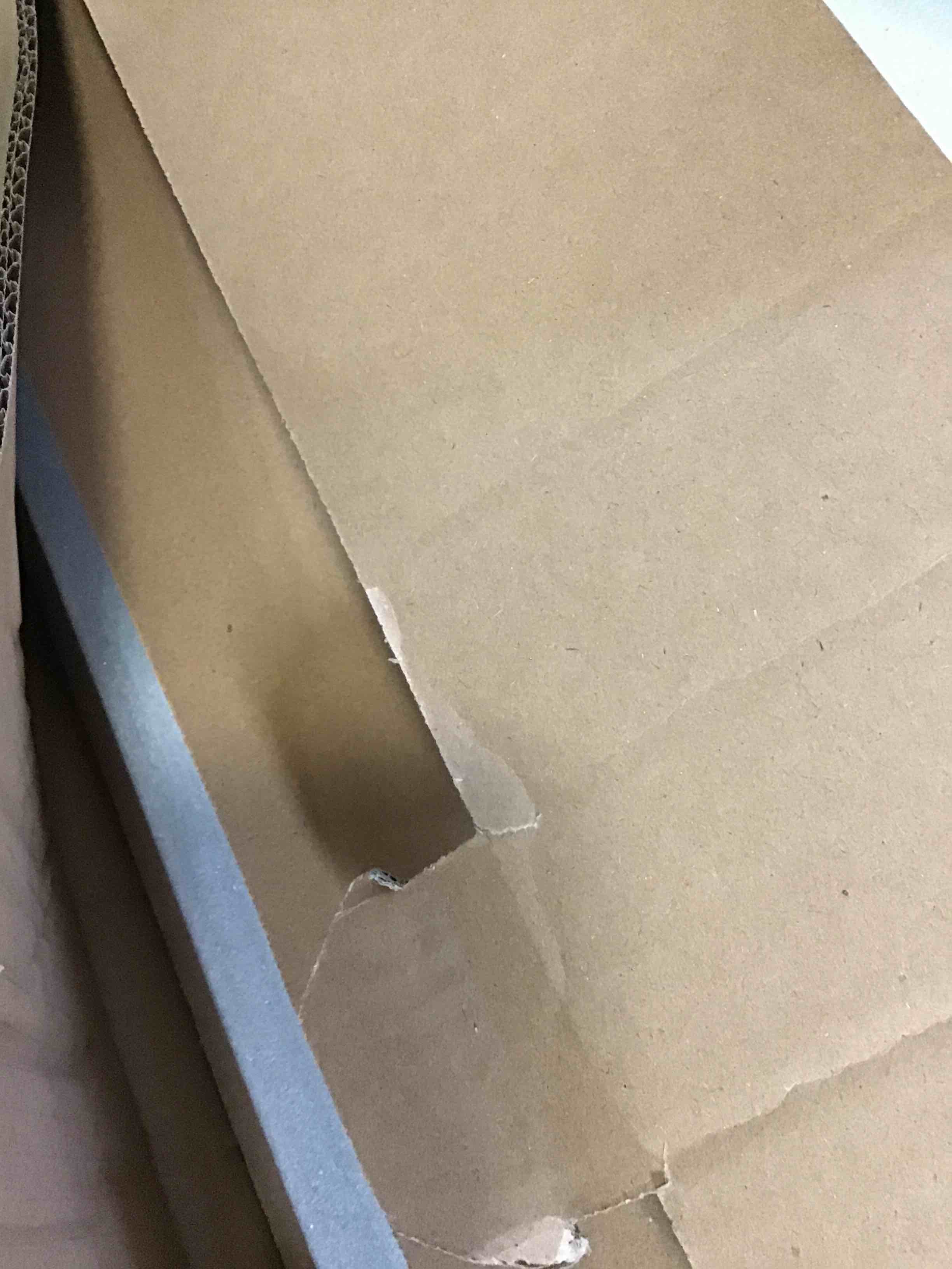 https://s3.amazonaws.com/lotting-images-prod/bidfta/ORG5669330_1696268396387.jpeg
