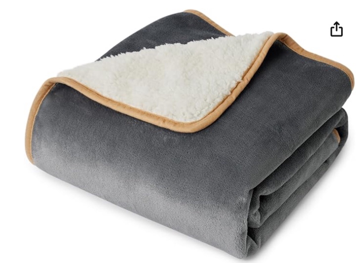 Bedsure Waterproof Dog Blankets for Small Dogs - Small Cat Blanket Washable for Couch Protection, Sherpa Fleece Puppy Blanket, Soft Plush Reversible Throw Furniture Protector, 25"X35", Grey