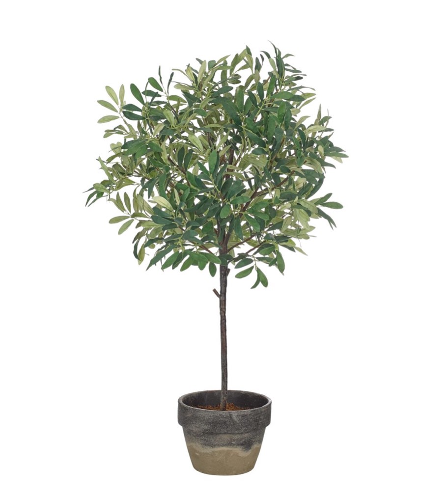Olive Tree Potted Faux Greenery, 37?
