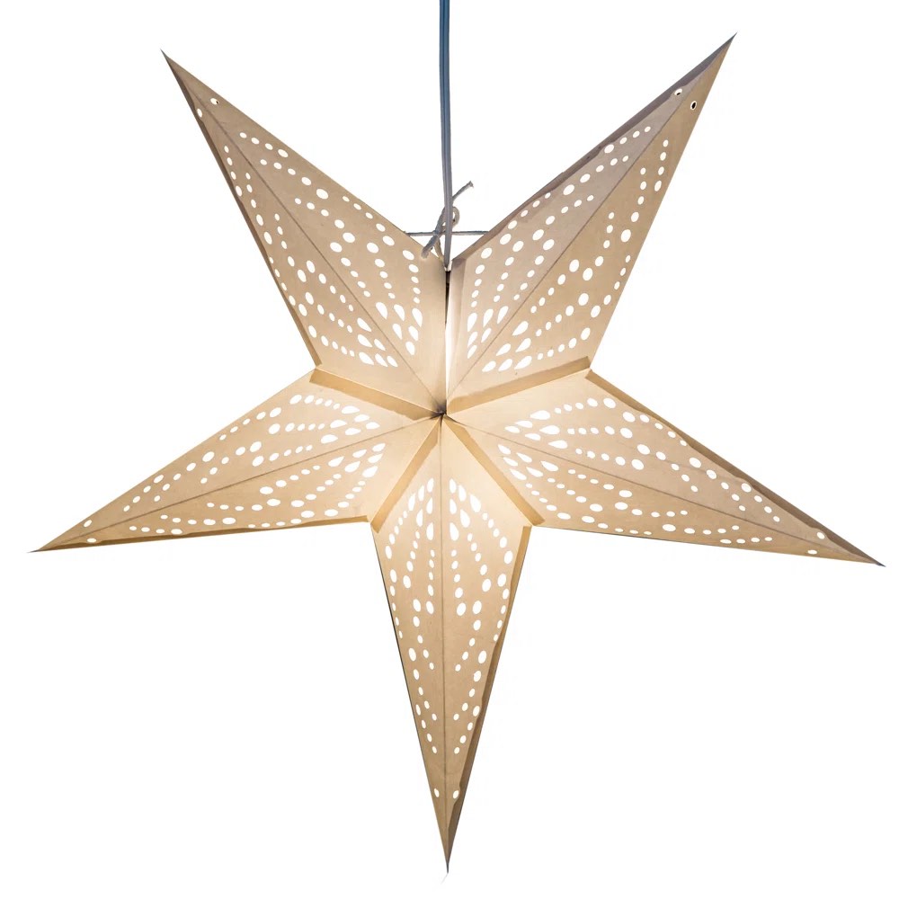 Frozen Paper Star Light Lanterns