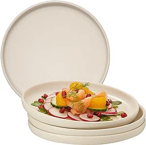 Bruntmor Ceramic Dinner Plates Set of 4, 10 inch Dish Set - Microwave, Oven, and Dishwasher Safe, Scratch Resistant, Modern Square Dinnerware- Kitchen Porcelain Serving Dishes - White